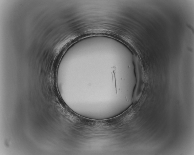 X0000102250979200808081407