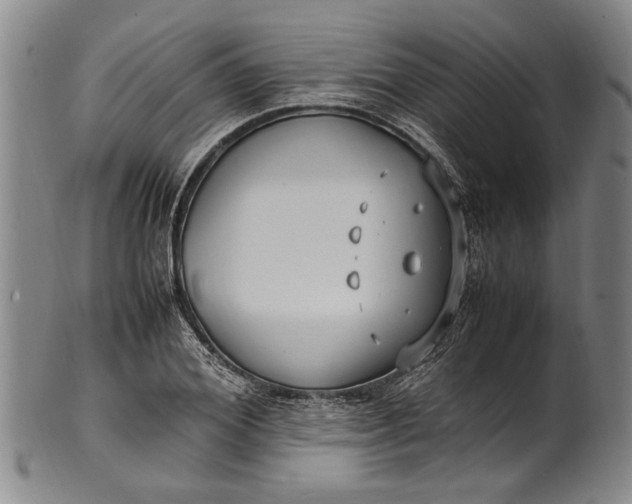 X0000102250980200808081407