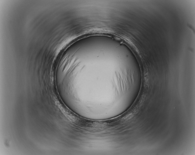 X0000102250981200808081407