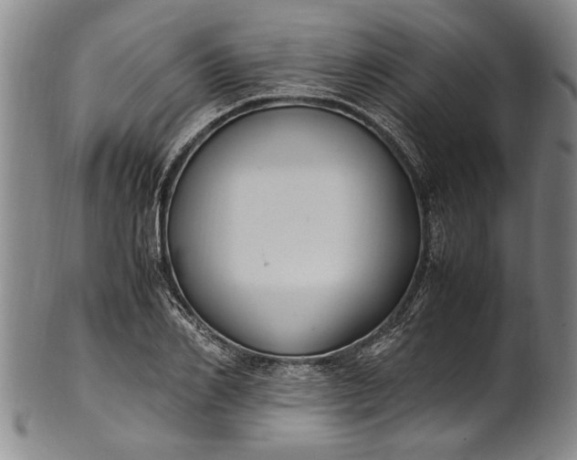 X0000102250982200808081407