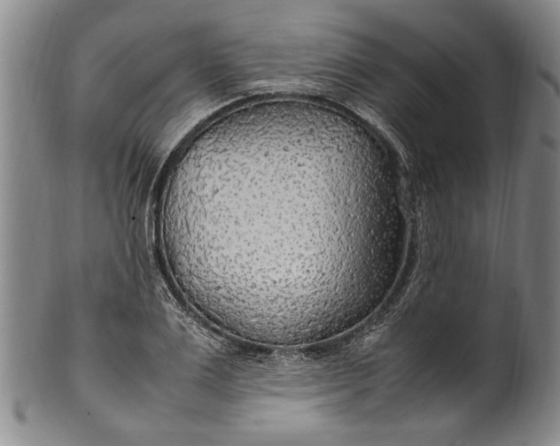 X0000102250983200808081407