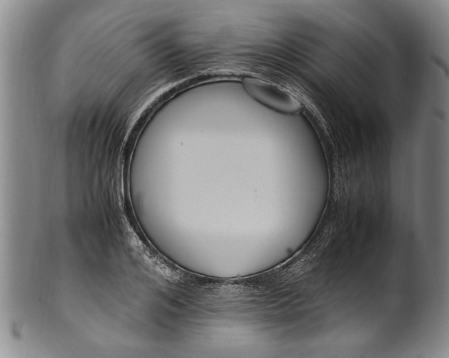 X0000102250984200808081407