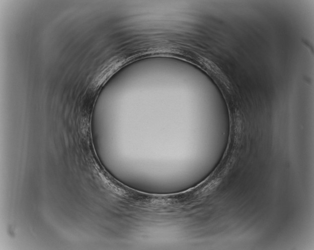 X0000102250985200808081407