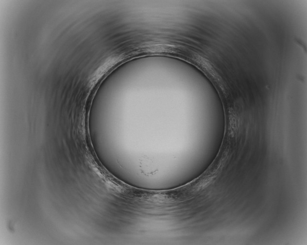 X0000102250986200808081407