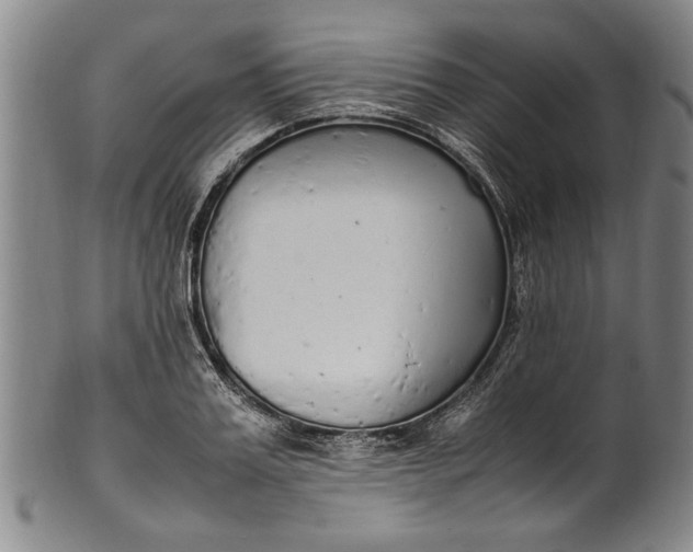 X0000102250987200808081407