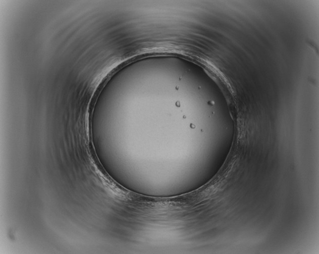 X0000102250988200808081407