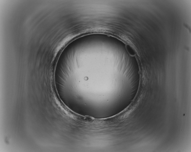 X0000102250989200808081407