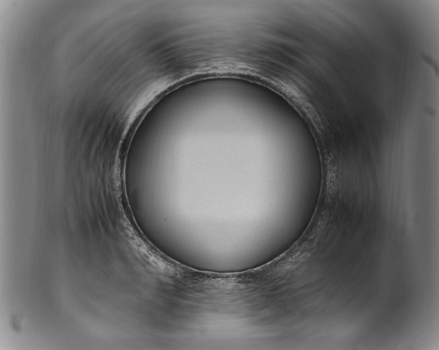 X0000102250990200808081407