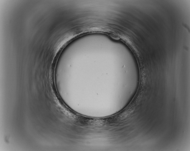 X0000102250991200808081407