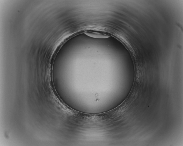 X0000102250992200808081407