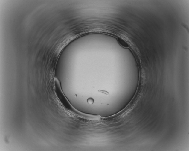 X0000102250993200808081407