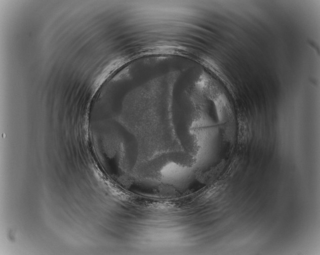 X0000102250994200808081407