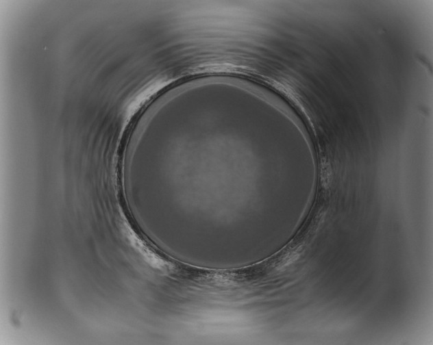 X0000102250995200808081407