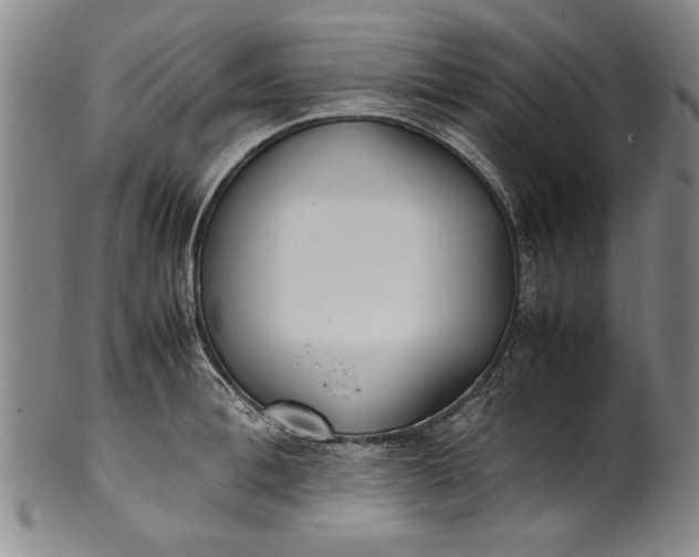 X0000102250996200808081407