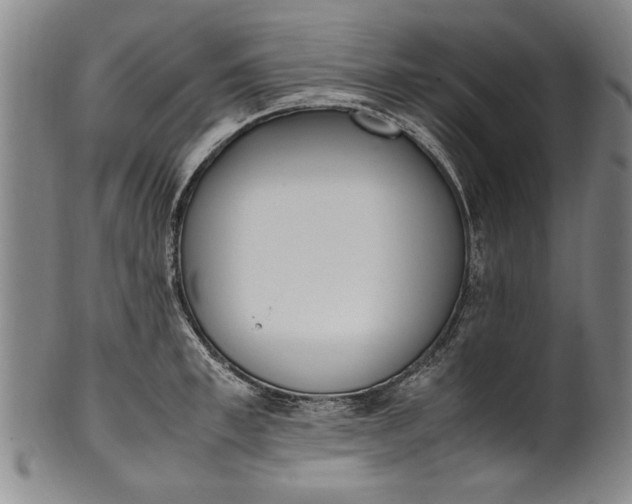 X0000102250997200808081407