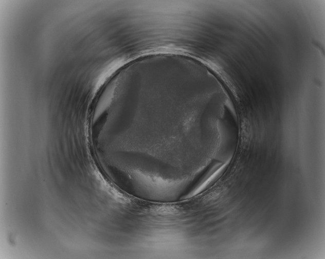 X0000102250998200808081407