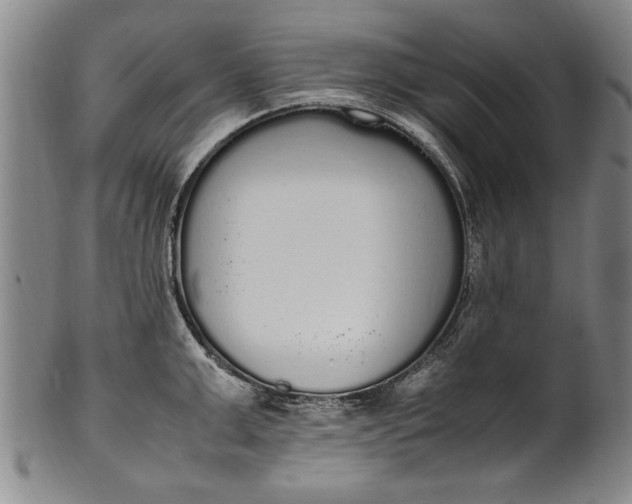 X0000102250999200808081407