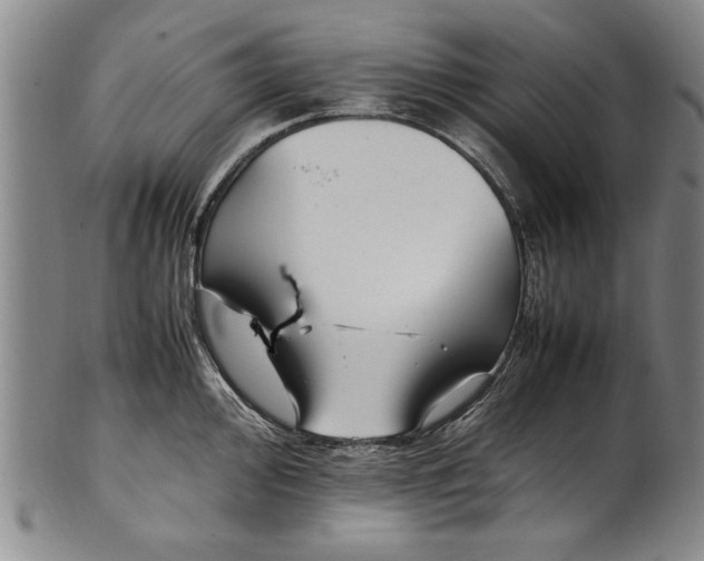 X0000102251000200808081407