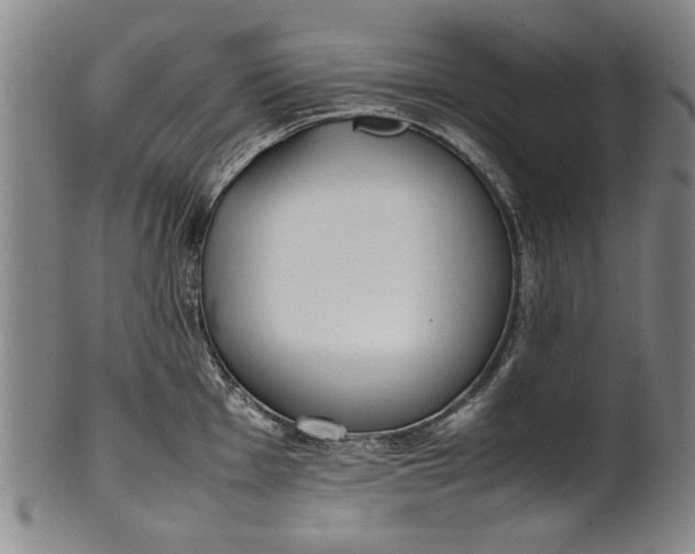 X0000102251001200808081407