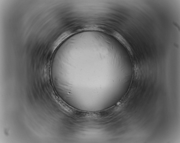 X0000102251002200808081407