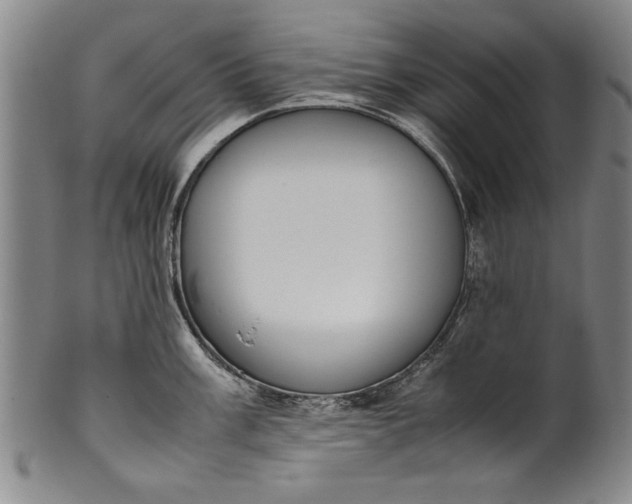 X0000102251003200808081407