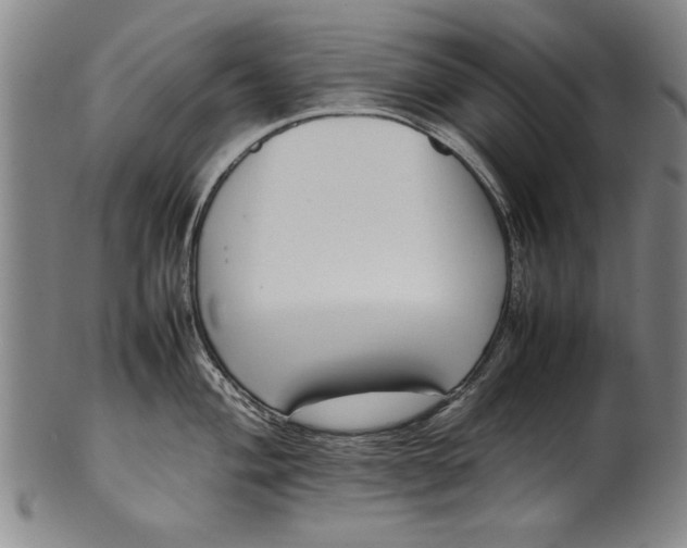 X0000102251004200808081407