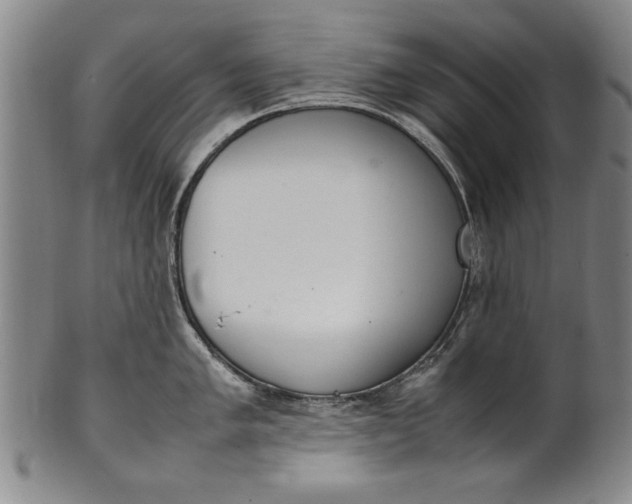 X0000102251005200808081406