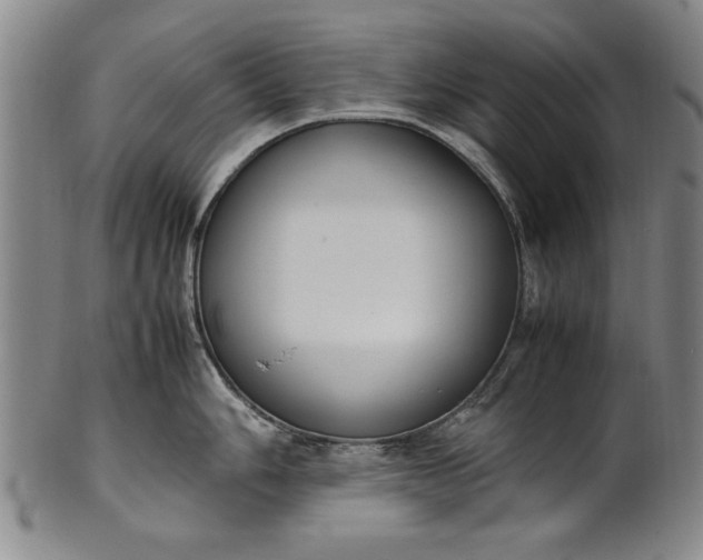 X0000102251006200808081406