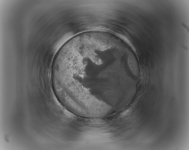 X0000102251007200808081406