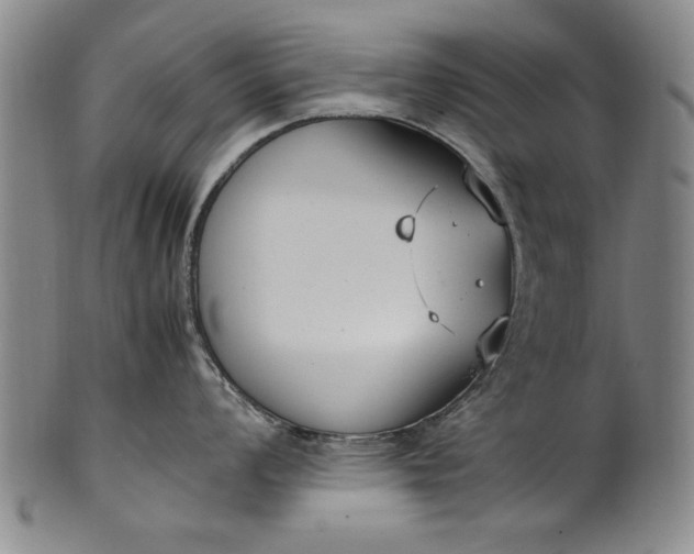 X0000102251008200808081406