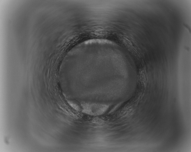 X0000102251009200808081406