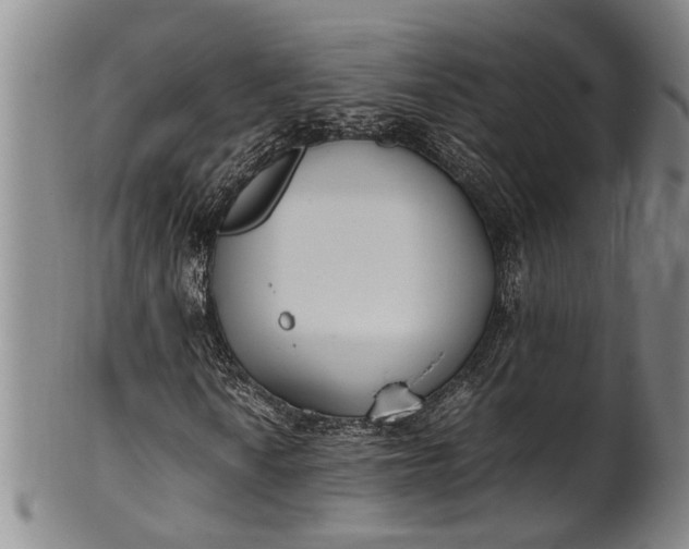 X0000102251010200808081406