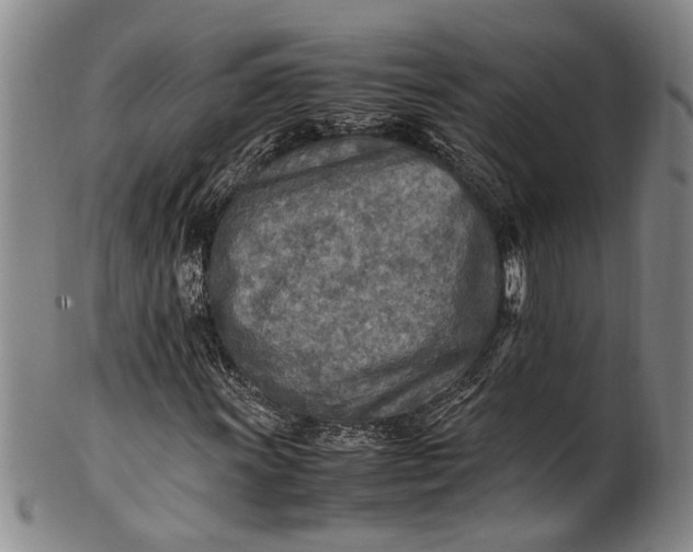 X0000102251011200808081406