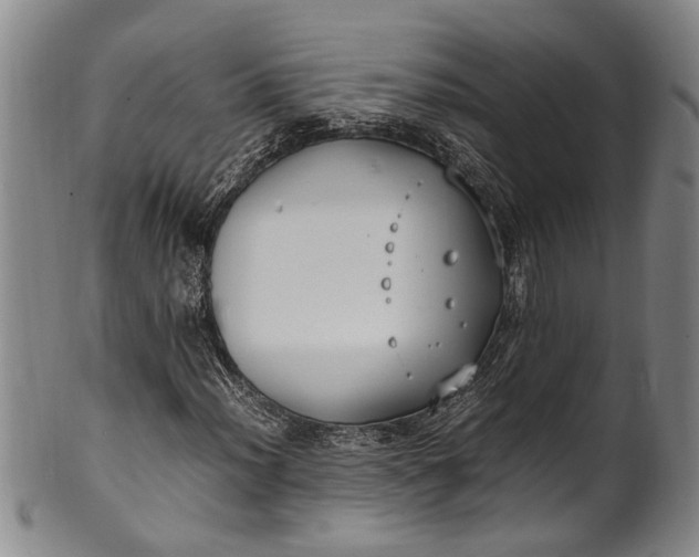 X0000102251012200808081406