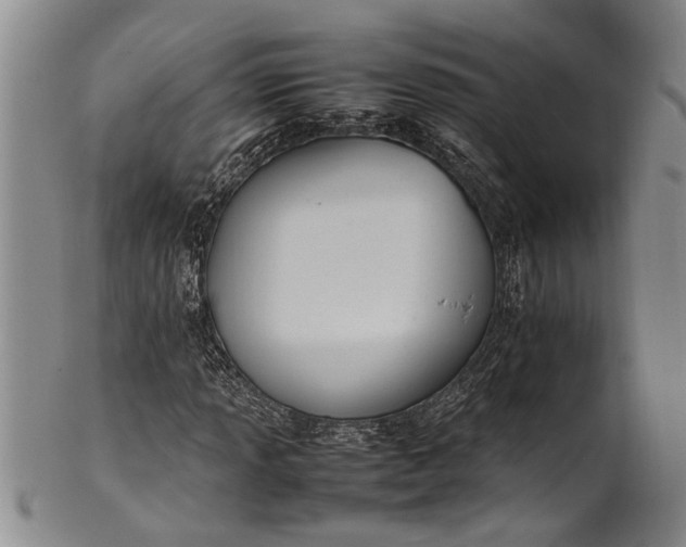 X0000102251013200808081406