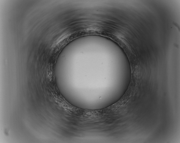 X0000102251015200808081406