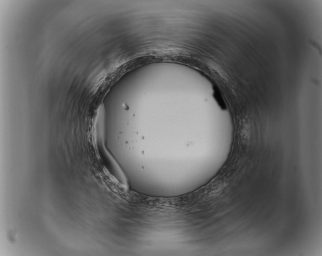 X0000102251016200808081406