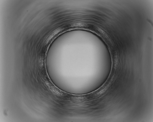 X0000102251017200808081406