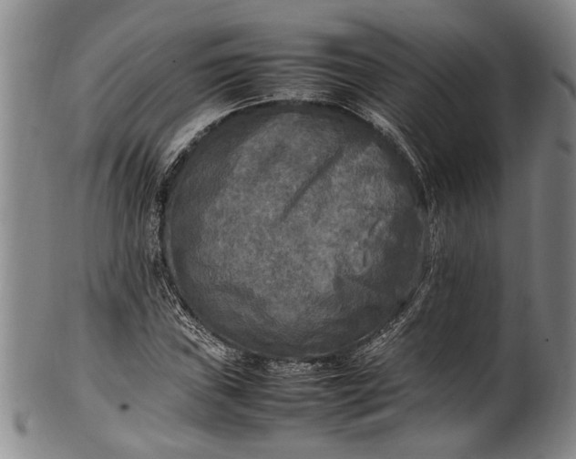 X0000102251019200808081406