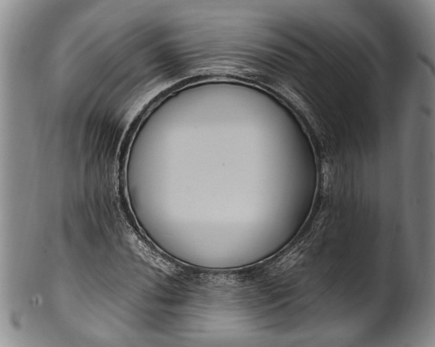 X0000102251020200808081406