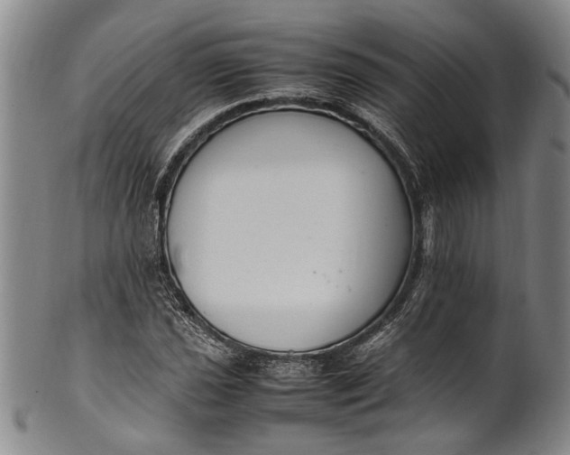 X0000102251021200808081406