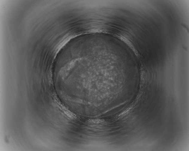 X0000102251023200808081406