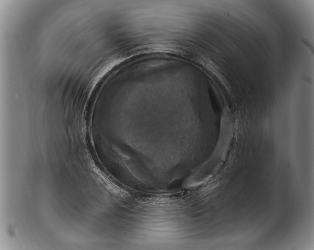 X0000102251024200808081406