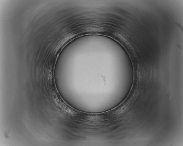 X0000102251025200808081406