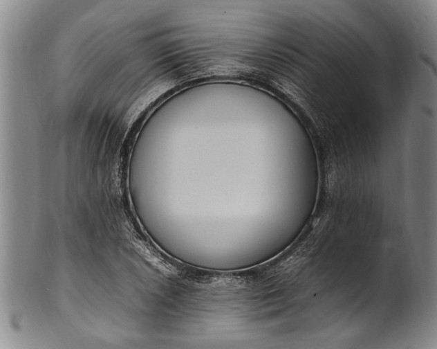 X0000102251026200808081406