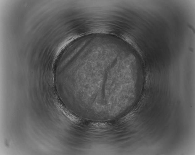 X0000102251027200808081406