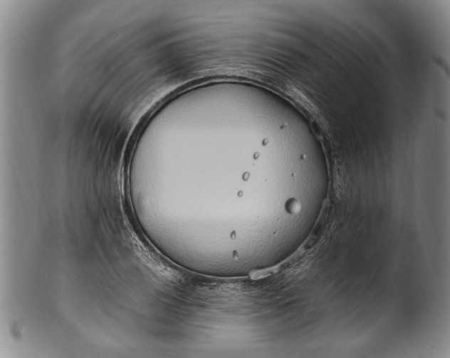 X0000102251028200808081406