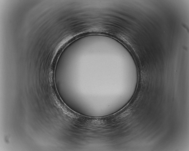 X0000102251029200808081406