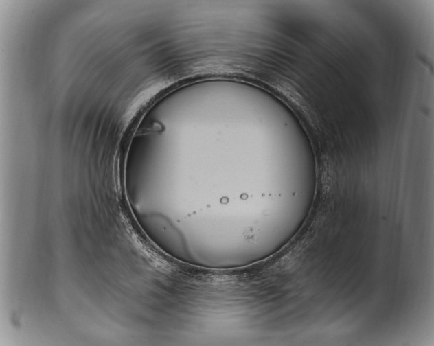 X0000102251030200808081406