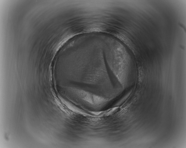 X0000102251031200808081406